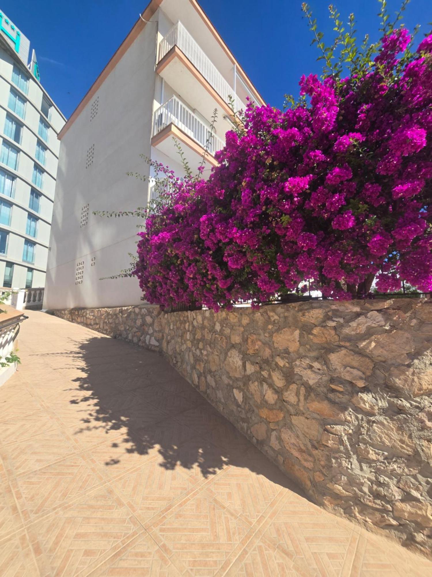 La Cantera Appartement Playa Peñíscola المظهر الخارجي الصورة